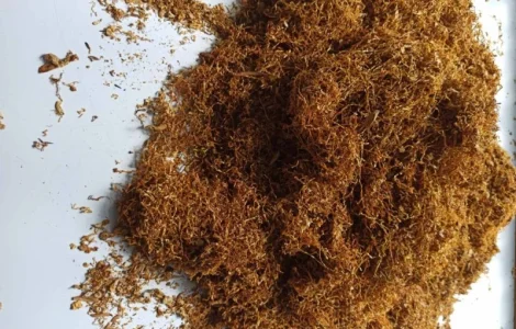 Тютюн на вагу – Вірджинія, Берлі, Міленіум, Дюбек, урожай 2023