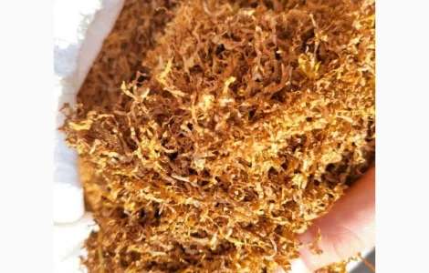 Тютюн для гільз і самокруток. Заводського не маю. Тільки домашній