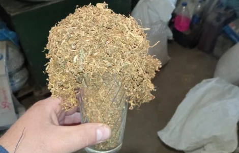 Селюк настоящий і тютюн берлі вірджінія закуска дідовська класна