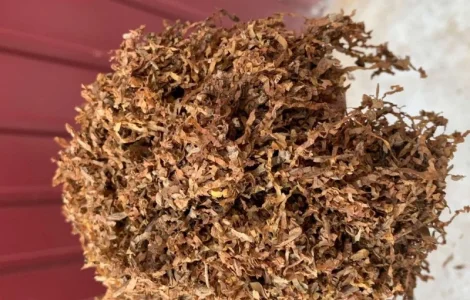 Продам тютюн на вагу — свіжий після ферментації, сорти Вірджинія, Дюбек, Беерлі, Міленіум