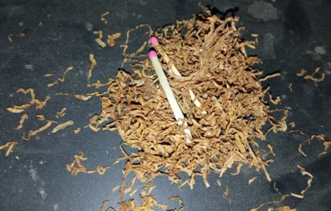 Табак домашній  для сигарет 1 кг ,самосад дюбек, махорка берлі всі свіженькі