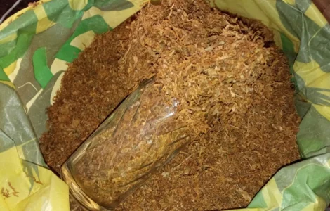 Є для самокруток самосад Берлі