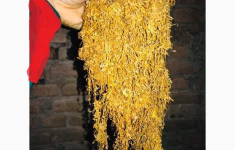 Дюбк, Вірджінія є ще Берлі, Міленіум тоже є такий табак  для сигарет 1 кг