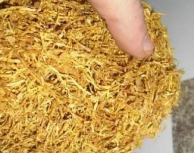 Є хароший домашній тютюнець Берлі, Вірджінія. і махорка отлічна для сигарет 1 кг