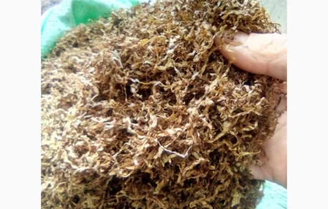 Табак паутинка - стартовый набор