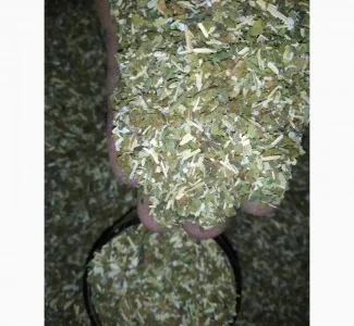 Куплю табак на развес махорку самосад, бадилля, опт від 20 кг