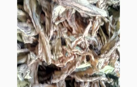 Продам лист табака(некондиция)