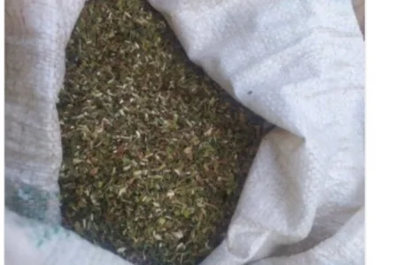 Продам махорку самосад для трубки