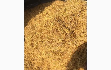 Продам табак  для самокруток