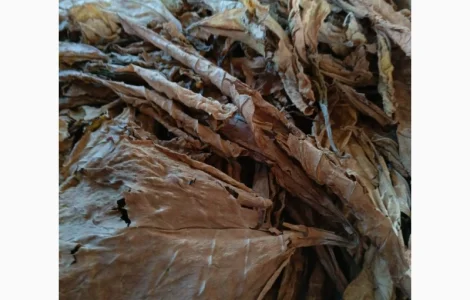 Куплю лист тютюну для самокруток