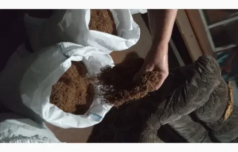 Продам табак Берлей
