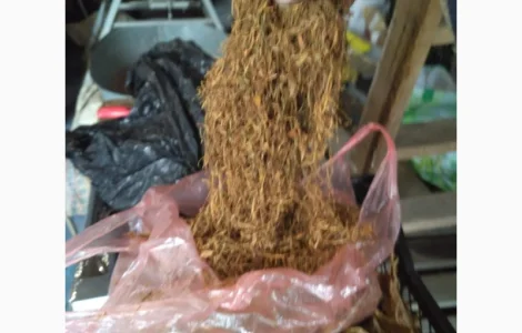 Продам різаний тютюн, сорт Вірджинія,  для самокруток