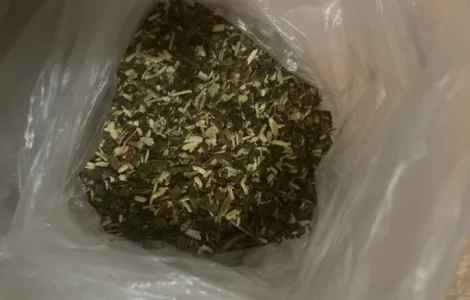 Продам махорку для сигарет 1 кг,  300 грн кг