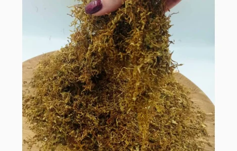 Лучшие сотра Табака только для ВАС! Бонусная программа для каждого клиента