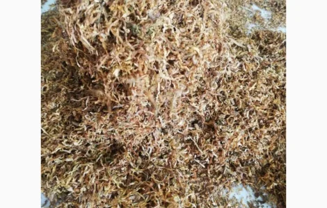 Турецкий Burley для трубки, крепость и качество