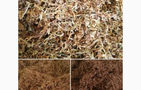 Продажа чистого табака