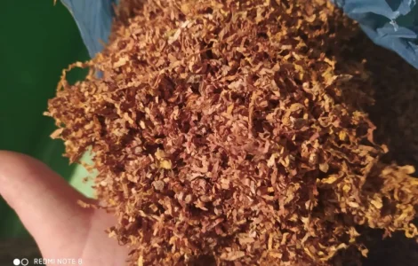 Для продажи есть хороший табак для сигарет 1 кг, хорошие качество, быстрая упаковка и доставка