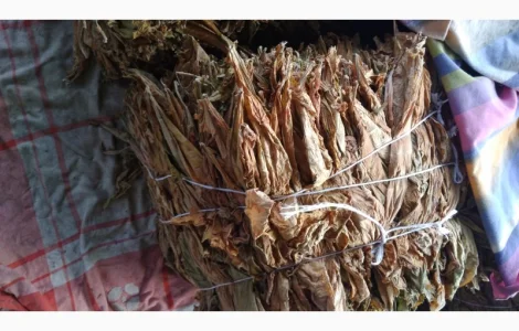 Продам дешево лист70грн крепкий,