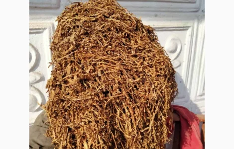 Тютюн Берлі, Вірджинія, Самосад  для сигарет 1 кг