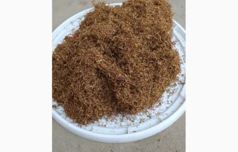 Кулю табак для самокруток