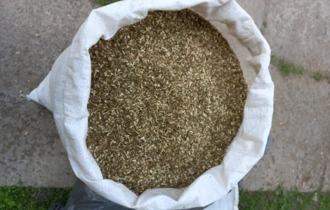 Справжня махорка для трубки