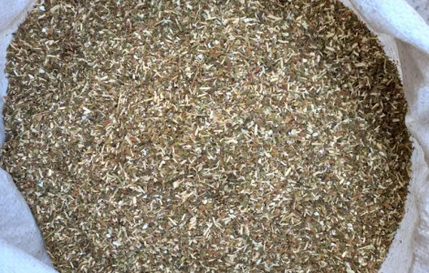 Продам самосад