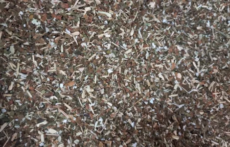 МаХоРкА(самосад)