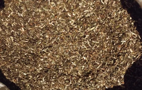 Махорка проста самосад