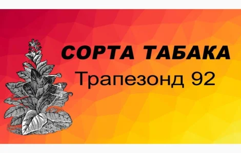 Продам табак Трапезонд 92 - 150 грн/упаковка