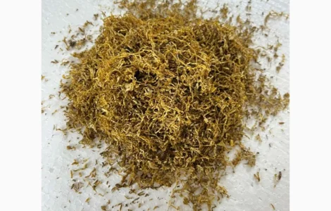 Урожай 2023 року Вірджинія Голд легкий сердній  тютюн для сигарет 1 кг. Краща ціна