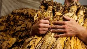 ИМПОРТНЫЙ табак БЕРЛИ - дивовижный вкус !!! ЧУДОВОЕ качество!!!+ огромный выбор