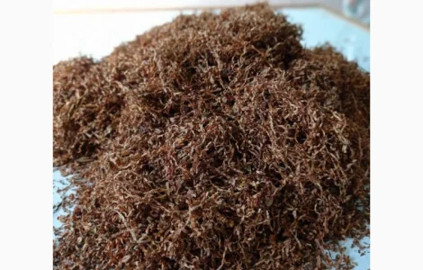 Крепкий табак БЕРЛИ - табак для настоящих мужчин. скидки и подарки