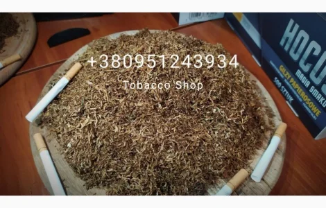 Табак Вірджинія