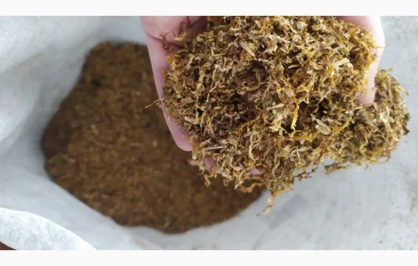 Продажа табака Золотое Руно для сигарет, 1 кг