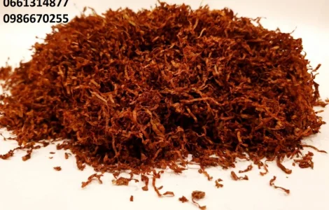 Тютюн для самокруток  Берлі локшина. Вищий сорт. Для любителів міцнішого