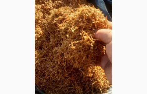 Продам тютюн для самокруток!  Відмінної Якості