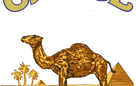 Тютюн Вірджинія Голд, висока якість