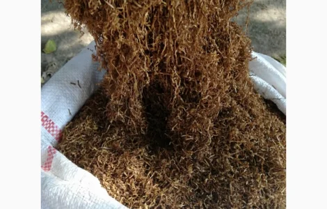 Продам тютюн для самокруток