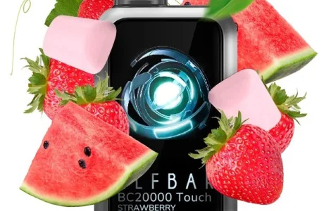 Сенсорна сигарета ELFBAR ВС 20000 тяг (Полунично Кавунова жуйка)