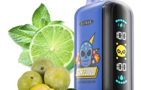 Электронная сигарета ELF BAR GH 5% 23000 тяг, Зеленая Слива - Кислый Лайм