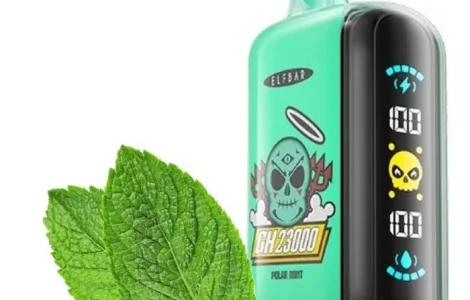 POD система ELF BAR 5% 23000 тяг, Полярна Мята