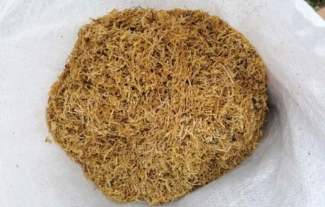 Фабричний тютюн