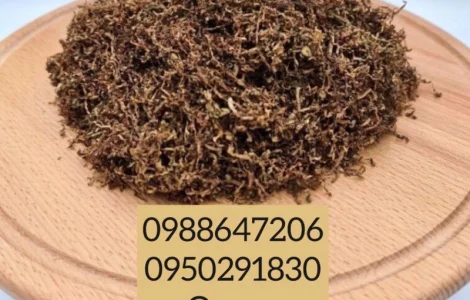 Продам табак БЕРЛИ крепкий