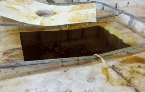 Купую фуз соєвий – розгляну всі варіанти