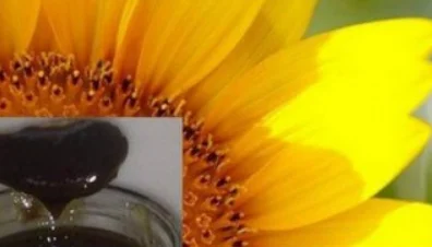 Купую фуз соняшникової олії в будь-яких обсягах