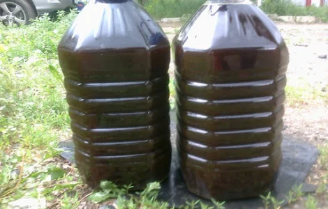 Покупаем соапсток, гидрофуз, фуз подсолнечный/рапсовый/соевый