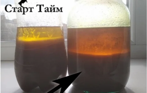 Закупаем фуз, солнечный и соевый отстой