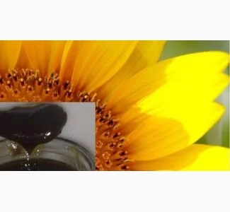 Куплю подсолнечный баковый отстой