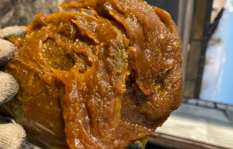 Фуз соевый - техническое масло и баковый отстой