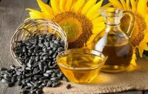 Закупка подсолнечного отработанного масла